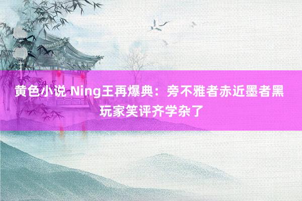 黄色小说 Ning王再爆典：旁不雅者赤近墨者黑 玩家笑评齐学杂了