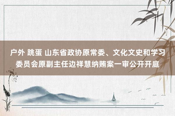 户外 跳蛋 山东省政协原常委、文化文史和学习委员会原副主任边祥慧纳贿案一审公开开庭