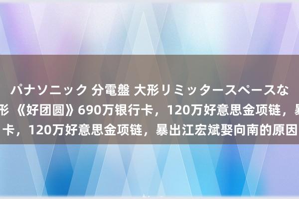 パナソニック 分電盤 大形リミッタースペースなし 露出・半埋込両用形 《好团圆》690万银行卡，120万好意思金项链，暴出江宏斌娶向南的原因