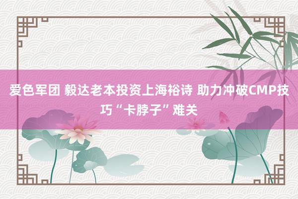 爱色军团 毅达老本投资上海裕诗 助力冲破CMP技巧“卡脖子”难关