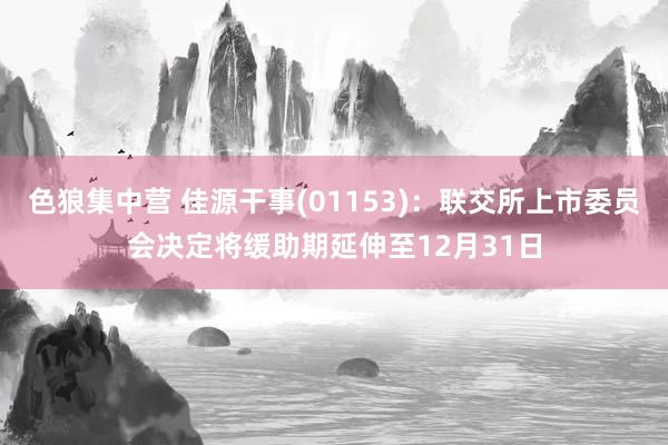 色狼集中营 佳源干事(01153)：联交所上市委员会决定将缓助期延伸至12月31日