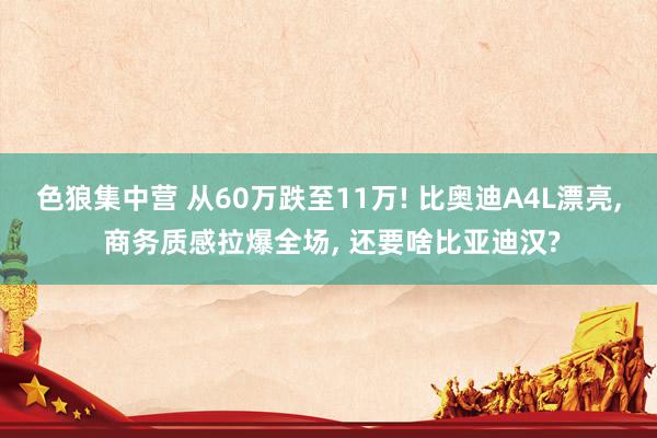 色狼集中营 从60万跌至11万! 比奥迪A4L漂亮， 商务质感拉爆全场， 还要啥比亚迪汉?