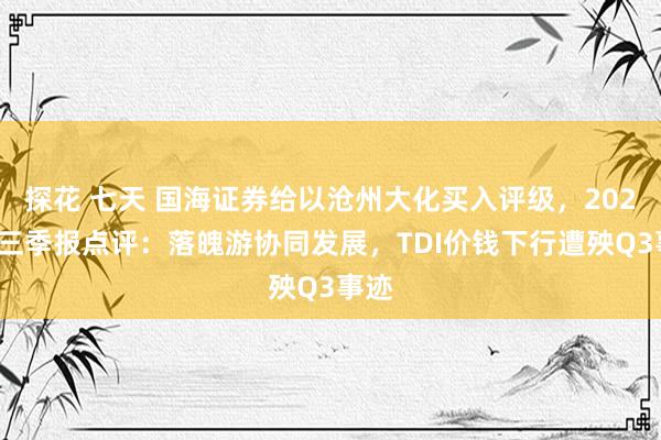 探花 七天 国海证券给以沧州大化买入评级，2024年三季报点评：落魄游协同发展，TDI价钱下行遭殃Q3事迹