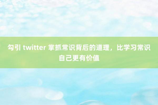 勾引 twitter 掌抓常识背后的道理，比学习常识自己更有价值