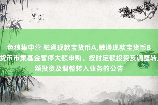 色狼集中营 融通现款宝货币A，融通现款宝货币B: 融通现款宝货币市集基金暂停大额申购、按时定额投资及调整转入业务的公告