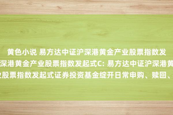 黄色小说 易方达中证沪深港黄金产业股票指数发起式A，易方达中证沪深港黄金产业股票指数发起式C: 易方达中证沪深港黄金产业股票指数发起式证券投资基金绽开日常申购、赎回、改换和依期定额投资业务的公告