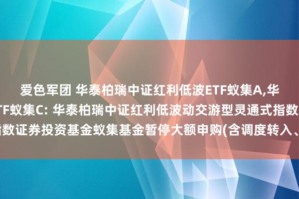 爱色军团 华泰柏瑞中证红利低波ETF蚁集A，华泰柏瑞中证红利低波ETF蚁集C: 华泰柏瑞中证红利低波动交游型灵通式指数证券投资基金蚁集基金暂停大额申购(含调度转入、如期定额投资)业务的公告