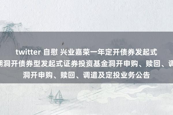 twitter 自慰 兴业嘉荣一年定开债券发起式: 兴业嘉荣一年按期洞开债券型发起式证券投资基金洞开申购、赎回、调遣及定投业务公告