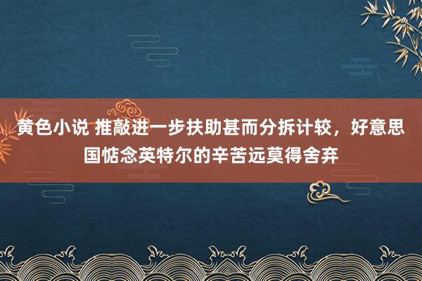 黄色小说 推敲进一步扶助甚而分拆计较，好意思国惦念英特尔的辛苦远莫得舍弃