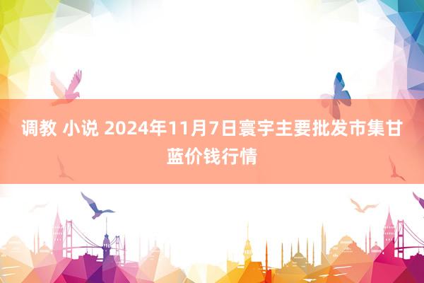 调教 小说 2024年11月7日寰宇主要批发市集甘蓝价钱行情