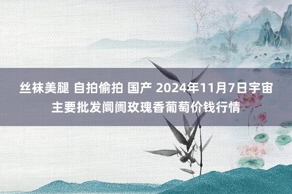 丝袜美腿 自拍偷拍 国产 2024年11月7日宇宙主要批发阛阓玫瑰香葡萄价钱行情