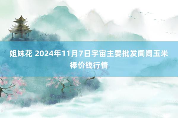 姐妹花 2024年11月7日宇宙主要批发阛阓玉米棒价钱行情