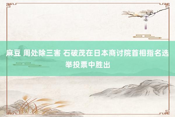 麻豆 周处除三害 石破茂在日本商讨院首相指名选举投票中胜出