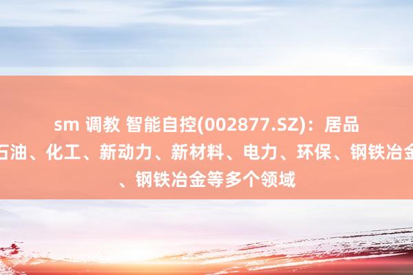 sm 调教 智能自控(002877.SZ)：居品无为左右于石油、化工、新动力、新材料、电力、环保、钢铁冶金等多个领域