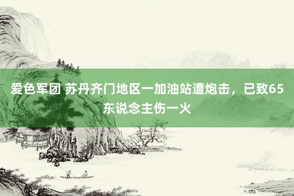 爱色军团 苏丹齐门地区一加油站遭炮击，已致65东说念主伤一火