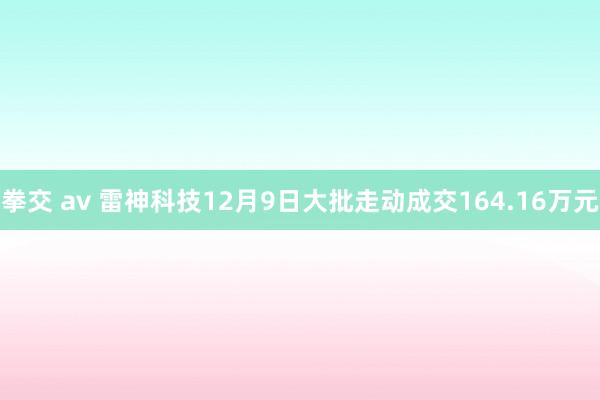 拳交 av 雷神科技12月9日大批走动成交164.16万元