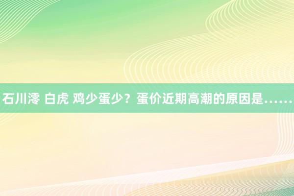 石川澪 白虎 鸡少蛋少？蛋价近期高潮的原因是……