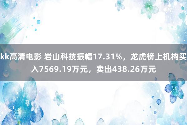 kk高清电影 岩山科技振幅17.31%，龙虎榜上机构买入7569.19万元，卖出438.26万元