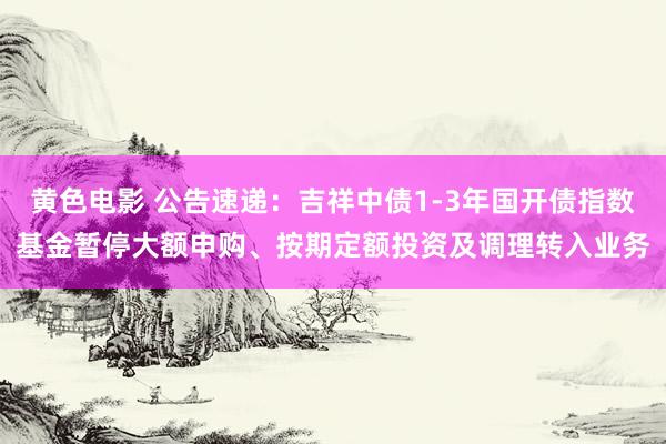 黄色电影 公告速递：吉祥中债1-3年国开债指数基金暂停大额申购、按期定额投资及调理转入业务