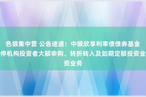 色狼集中营 公告速递：中银欣享利率债债券基金暂停机构投资者大额申购、转折转入及如期定额投资业务