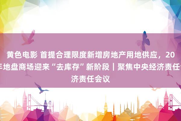 黄色电影 首提合理限度新增房地产用地供应，2025年地盘商场迎来“去库存”新阶段｜聚焦中央经济责任会议