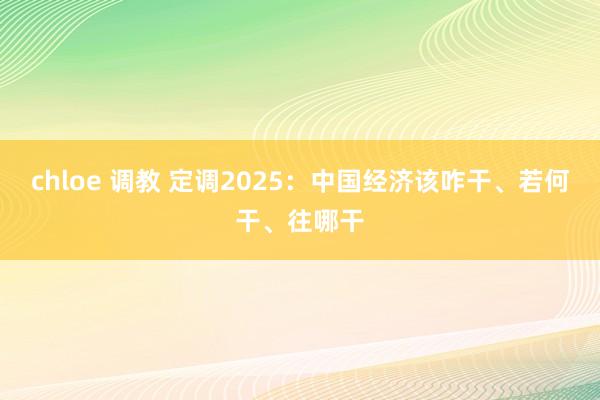 chloe 调教 定调2025：中国经济该咋干、若何干、往哪干