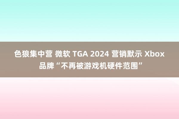 色狼集中营 微软 TGA 2024 营销默示 Xbox 品牌“不再被游戏机硬件范围”