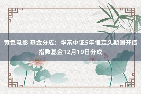 黄色电影 基金分成：华富中证5年恒定久期国开债指数基金12月19日分成