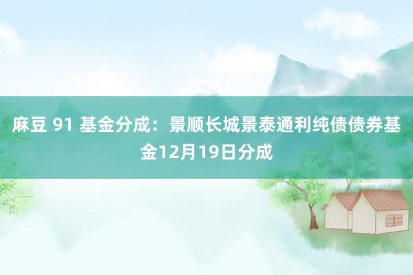 麻豆 91 基金分成：景顺长城景泰通利纯债债券基金12月19日分成