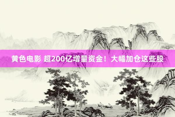 黄色电影 超200亿增量资金！大幅加仓这些股