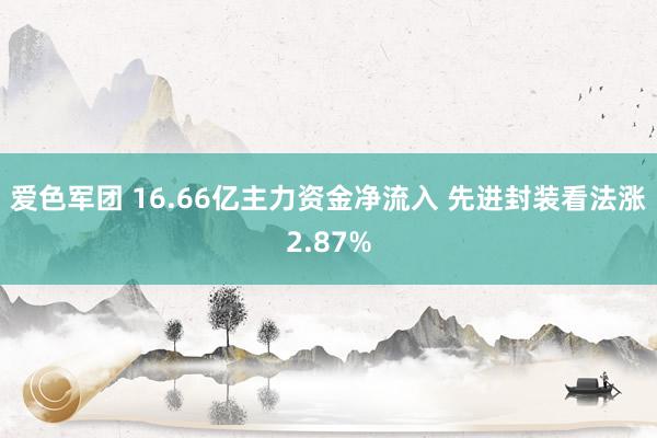 爱色军团 16.66亿主力资金净流入 先进封装看法涨2.87%