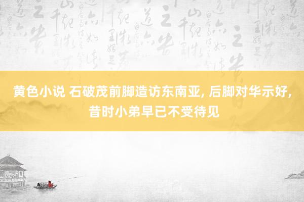 黄色小说 石破茂前脚造访东南亚， 后脚对华示好， 昔时小弟早已不受待见