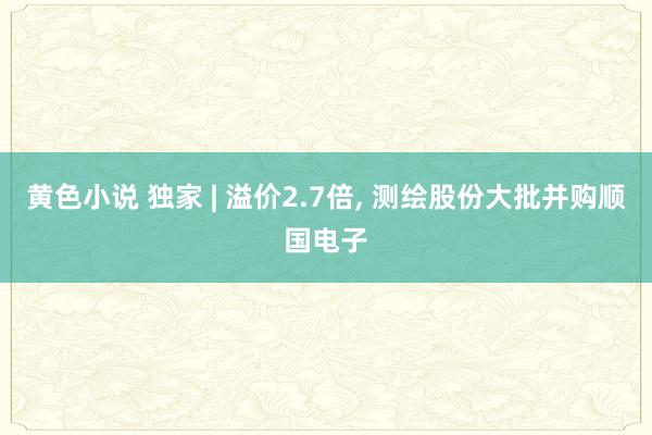 黄色小说 独家 | 溢价2.7倍， 测绘股份大批并购顺国电子